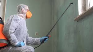 Professional Mold Removal Services in Fairburn, GA