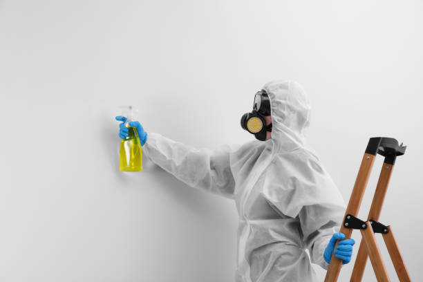 Mold Odor Removal Services in Fairburn, GA