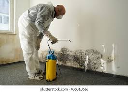 Best Mold Damage Restoration  in Fairburn, GA